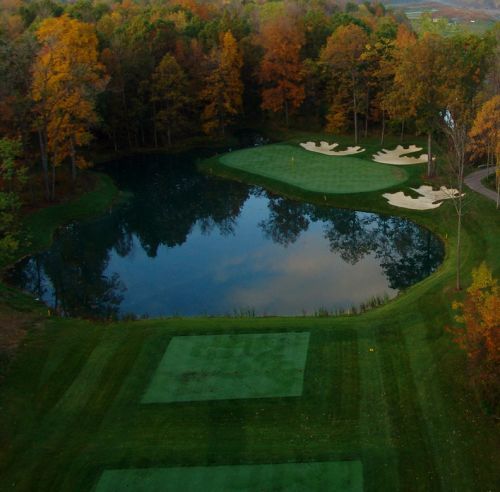 Trees surrounding pond on golf course